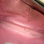 Coach Beige Pink Stripe Bag