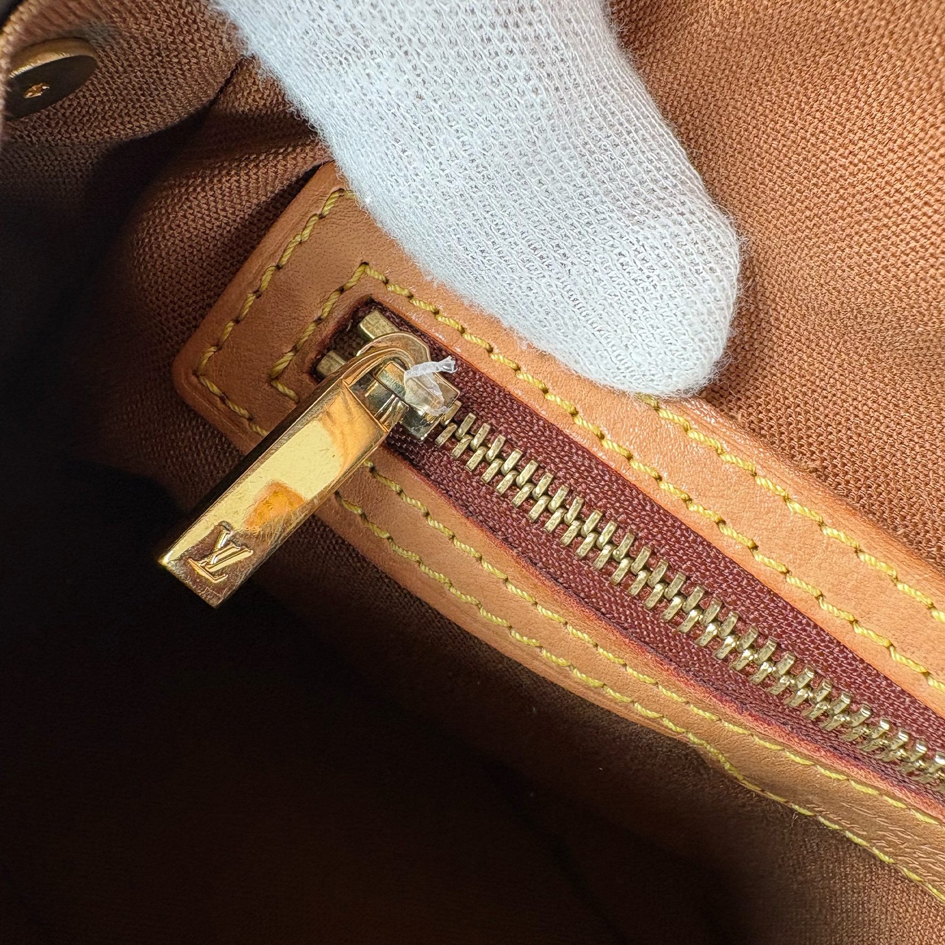 Louis Vuitton Monogram Mini Looping