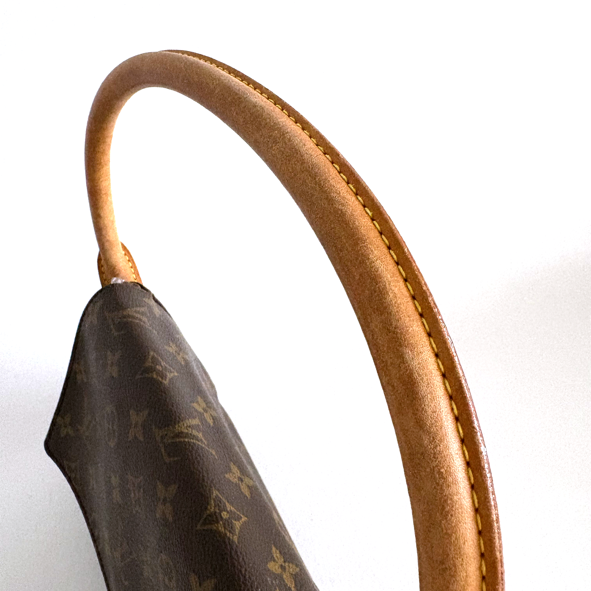 Louis Vuitton Monogram Mini Looping