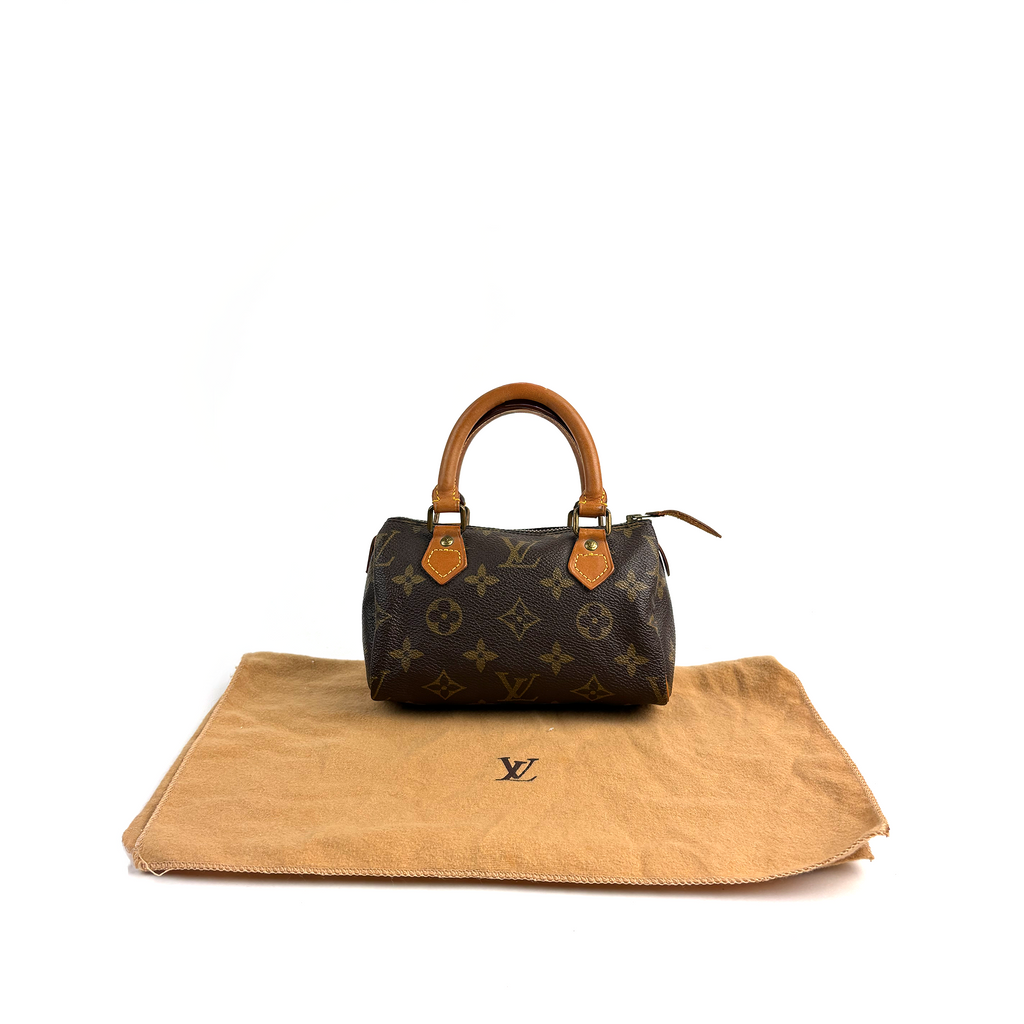 Louis Vuitton Nano Speedy Mini HL Cloth Handbag