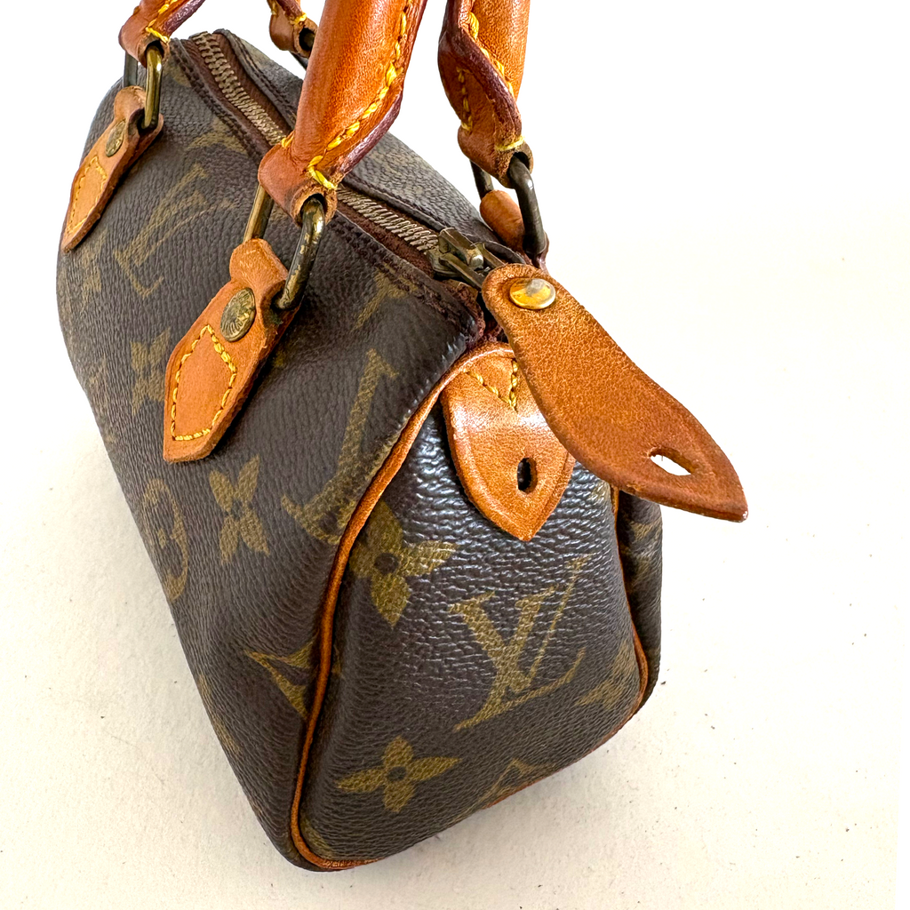 Louis Vuitton Nano Speedy