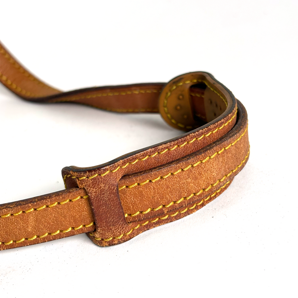 Louis Vuitton Saint Cloud PM