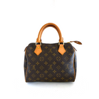 Louis Vuitton Speedy 25