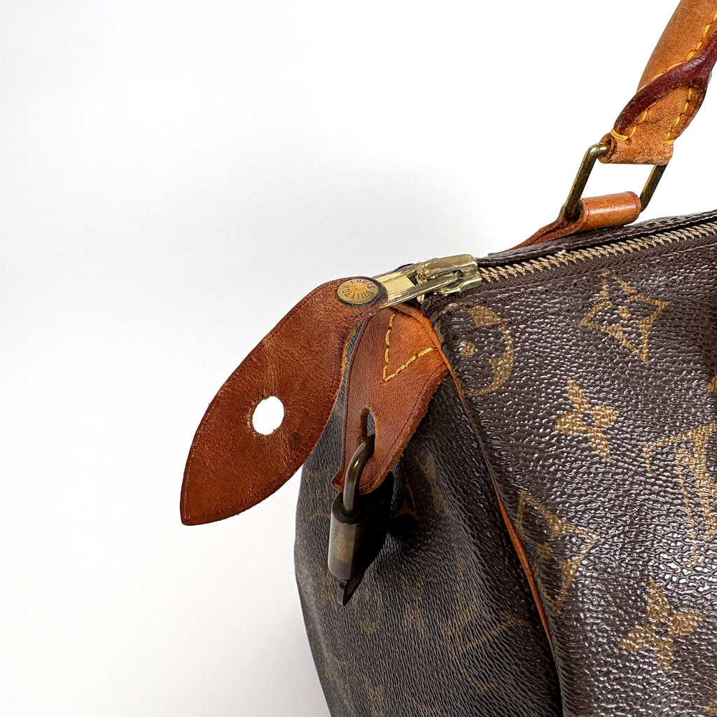 Louis Vuitton Speedy 25
