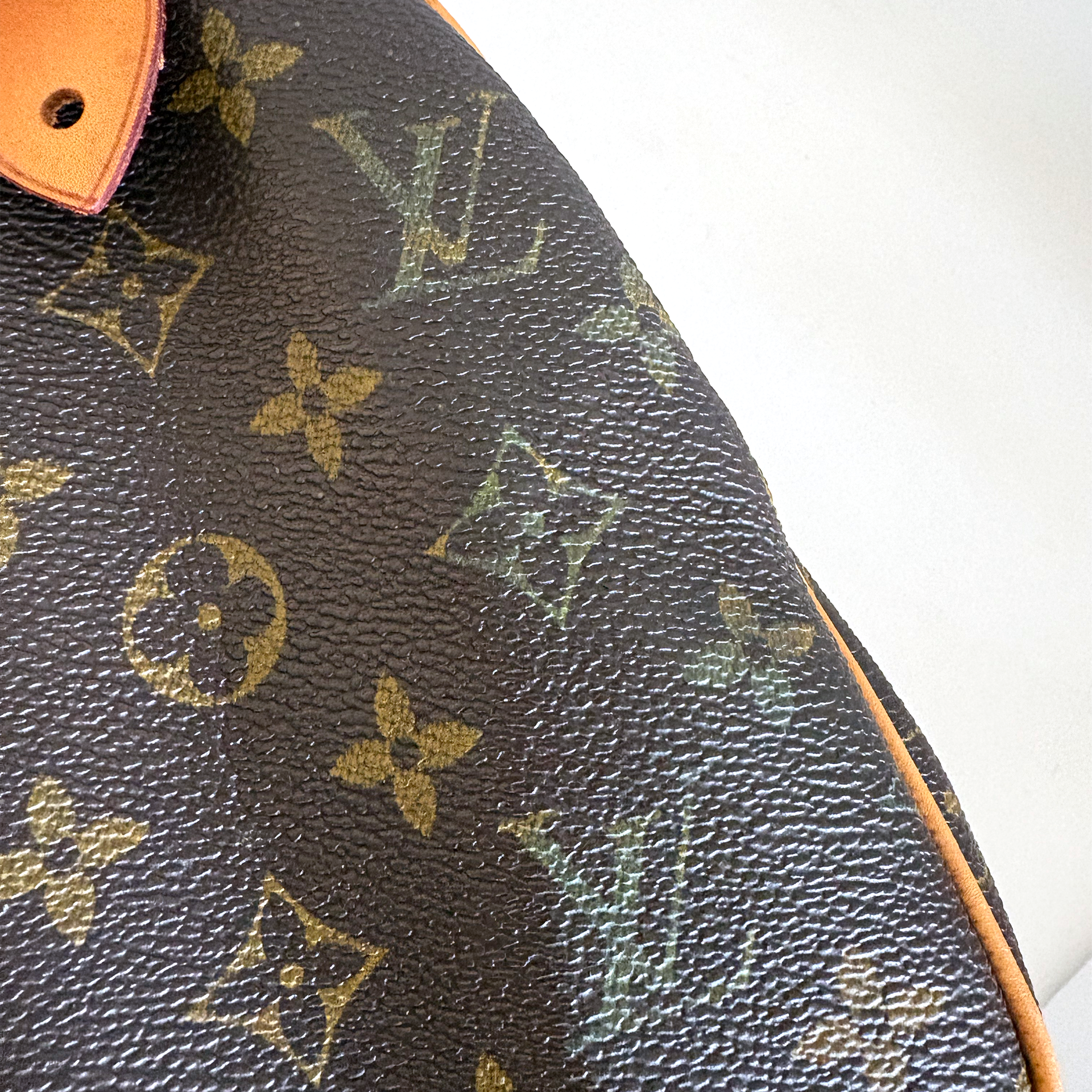 Louis Vuitton Speedy 25
